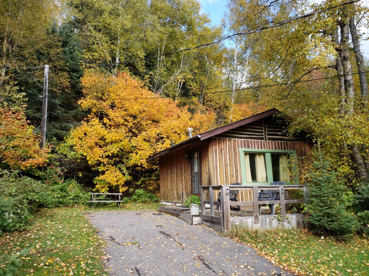 High Falls Motel & Cabins ワワ エクステリア 写真